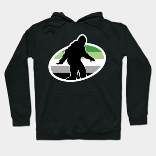 Aromantic Bigfoot Cryptid Pride Hoodie